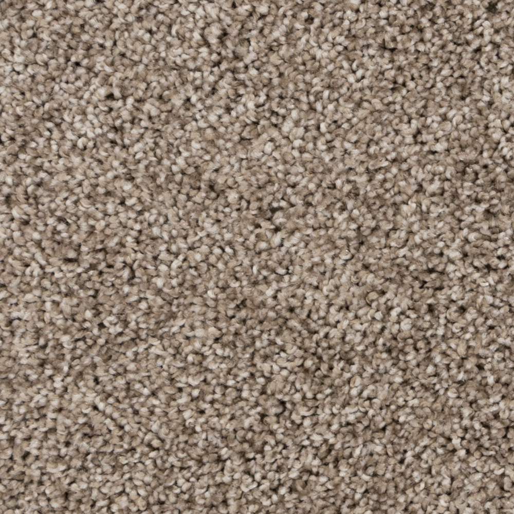Beaulieu Canada Constructions Neuves Tapis Excursion relaxante a4540