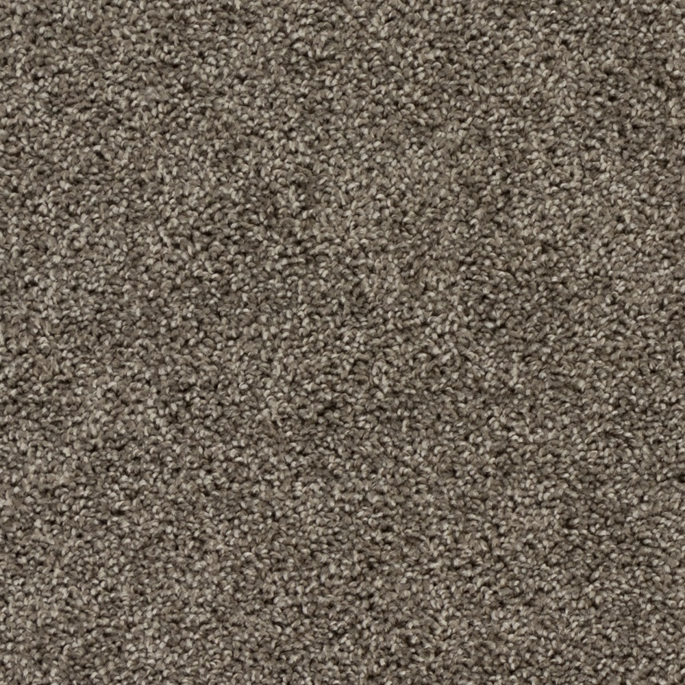 Beaulieu Canada Constructions Neuves Tapis Bravo a4920
