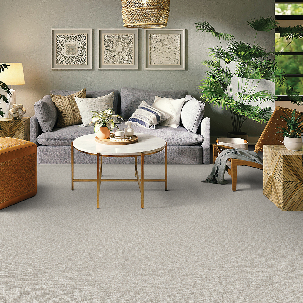 Beaulieu Canada Residential Carpet Nature's Connection j5801